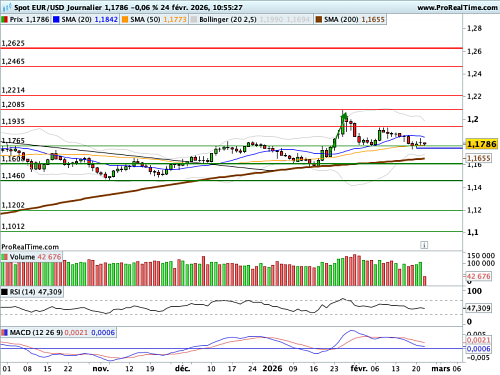 EUR/USD : Le sentiment du consommateur américain à la loupe (©ProRealTime.com) EUR/USD : Le sentiment du consommateur américain à la loupe (©ProRealTime.com)