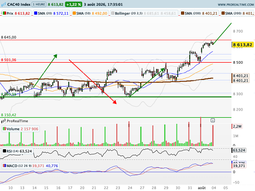 CAC 40 : VIX ! A la niche !