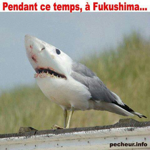 Forum BFM Bourse