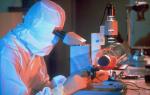 L'enjeu du futur vaccin contre la grippe porcine