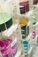 Du potentiel et des moyens pour trouver de nouveaux débouchés