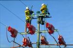 Gagne 6%, vers l'application du rapport champsaur