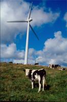 La dilution effraie, arkeon abaisse son objectif