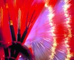 Le coût du plan fibre optique jugé raisonnable
