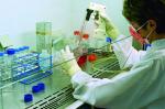 Accord mondial avec agamatrix dans la surveillance de la glycémie