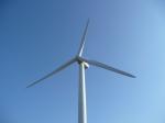 Le rebond s'amplifie, et les volumes gonflent