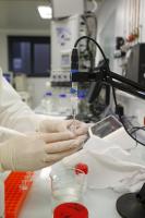 Potentiel de hausse de 140% selon un analyste