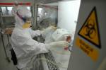 Vif rebond, un cours de bourse 