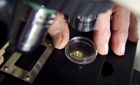EUROBIO SCIENTIFIC rebondit après ses résultats semestriels