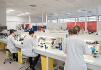 Genomic Vision accentue son rebond en Bourse