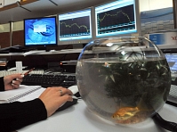 Hausse a minima de 0,16% du CAC 40 mercredi