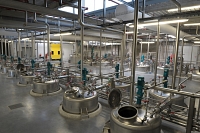 L'usine grassoise de Robertet