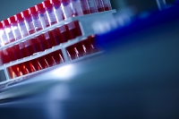 La biotech signe un solide premier trimestre et rebondit en Bourse