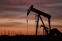 Le pétrole a effacé la quasi-totalité de ses gains depuis le choc pétrolier
