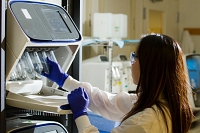 Les thérapies géniques promettent de révolutionner le cours des maladies