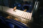 Le ca vaccins de sanofi-aventis pourrait doubler en cinq ans
