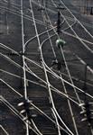 Veolia et trenitalia discuteraient d'une alliance dans le tgv