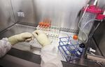 BioAlliance Pharma rachète le danois Topotarget