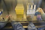Vers un record d'entrées en Bourse pour les biotechs