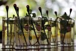 Le dégel Cuba/USA, bonne nouvelle pour le rhum de Pernod Ricard