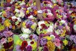 Interflora mis en vente, mandat confié à Rothschild