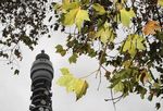 BT met ses finances en ordre avant d'acquérir EE