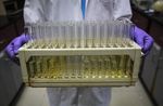 Ipsen confirme ses objectifs malgré la baisse des émergents
