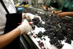 InVivo veut ouvrir 200 grandes surfaces en France en cinq ans