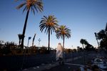 Le secteur du tourisme en baisse après l'attentat de Nice