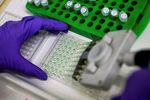 Innate Pharma a les moyens de son indépendance, reste ouverte
