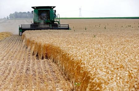 Marché : Des ex-traders de Louis Dreyfus lancent leur propre société