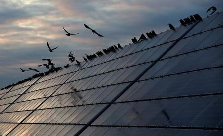 EDF veut bâtir 30 GW de capacités solaires en France en 15 ans