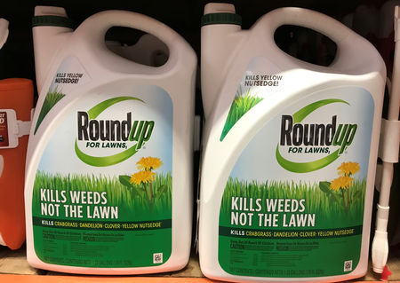 Marché : Roundup: Monsanto fait appel de sa condamnation aux USA