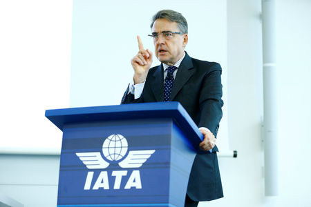 Marché : L'Iata inquiète des divergences entre autorités sur le Boeing 737 MAX