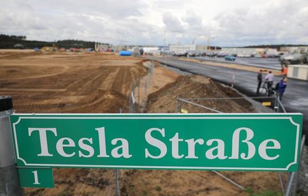 Marché : L'hibernation des serpents force Tesla à suspendre la construction de son usine allemande
