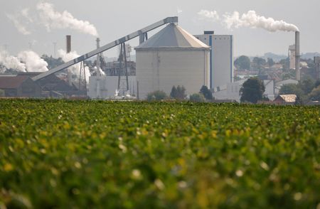 Marché : Tereos annonce la fermeture d'une usine de sucre et d'une distillerie