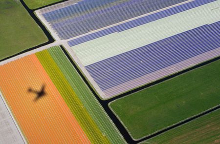Marché : L'économie néerlandaise a basculé en récession au 2e trimestre