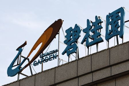 Marché : Chine: Le promoteur immobilier Country Garden visé par une requête en liquidation