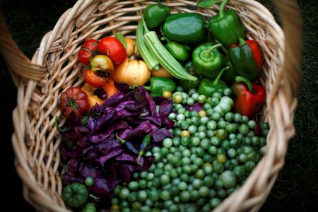 Marché : HelloFresh: La baisse du nombre de clients actifs se poursuit au quatrième trimestre