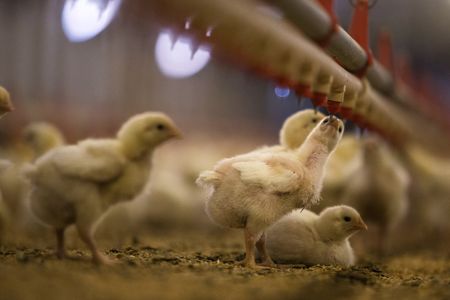 Virbac nomme un nouveau DG et relève son objectif de croissance du CA