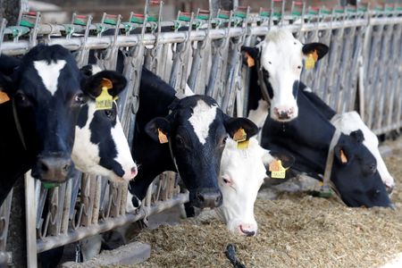 Marché : UE : La Chine vise des entreprises exportatrices de produits laitiers