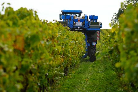 Marché : Le vin et les vins aromatisés pourraient être exclus des accords commerciaux UE-US, dit le 