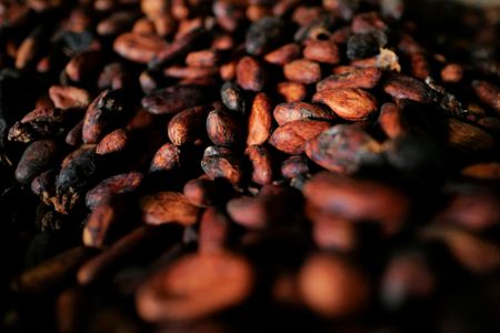 Marché : Hartree Partners envisage d'acquérir le négociant de cacao Touton
