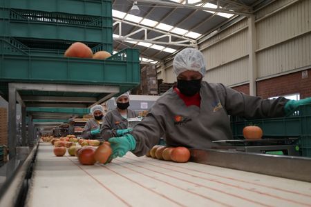 Marché : Etats-Unis: Rebond des prix à l'importation en juillet