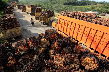 Marché : Les USA devraient exempter huile de palme, cacao et caoutchouc de droits de douane, selon l