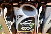 Le Roundup a été jugé comme un facteur substantiel du cancer d'un septuagénaire